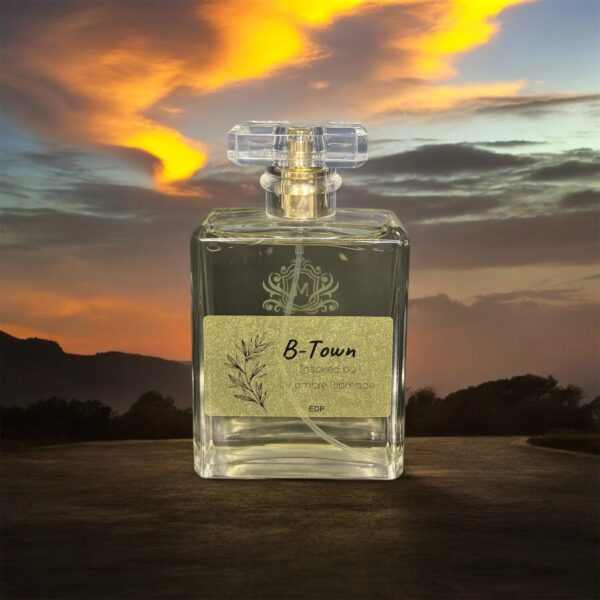 B-Town Inspired by LV ombre Nomade - Image 2